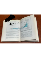 L'UNIVERSO NEL TEMPO di Paolo Maffei 1982 Club del libro Libro astronomia