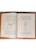 EDUCAZIONE FISICA E SPORT di Sabino Giuliano 1962 Libro Aspetti Tecnici Fisiolog