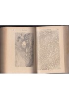 IL BEL PAESE e LA SANTITÀ DEL LINGUAGGIO di Antonio Stoppani 1901 1890 Libro