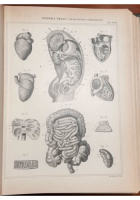 NUOVA ENCICLOPEDIA ITALIANA di Gerolamo Boccardo 1875 COMPLETA 31 volumi libro