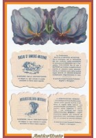 MIGONE libricino pubblicitario inizi '900 antico originale vintage