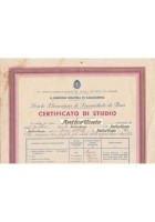 CERTIFICATO DI STUDIO Sammichele di Bari 1936 Originale Vintage Pagella scuola