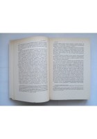 L'ANALISI FORMALE DEL LINGUAGGIO di Noam Chomsky 1969 Boringhieri Libro saggi