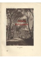 TOSCANA di Attilio Mori UTET collana La Patria 1927 illustrato storia Libro