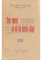 TRE MESI AL DI LÀ DELLE ALPI di Geremia Bonomelli 1913 Madella libro
