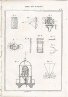 FISICA FARO INTERFERENZA INCISIONE STAMPA 1866 TAVOLA ANTICA ORIGINALE