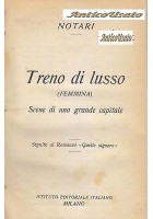 TRENO DI LUSSO FEMMINA SCENE DI UNA GRANDE CAPITALE Notari 1920 Libro