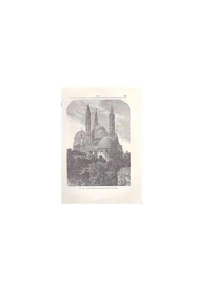 PADOVA ABSIDE E CUPOLE DELLA BASILICA DI SANT'ANTONIO incisione originale 1902