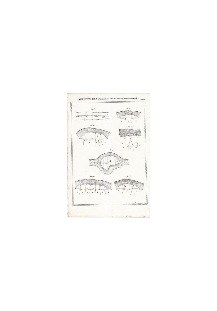 ARCHITETTURA IDRAULICA ALLUVIONI ALVEO ISOLE INCISIONE STAMPA 1866 Tavola Antica