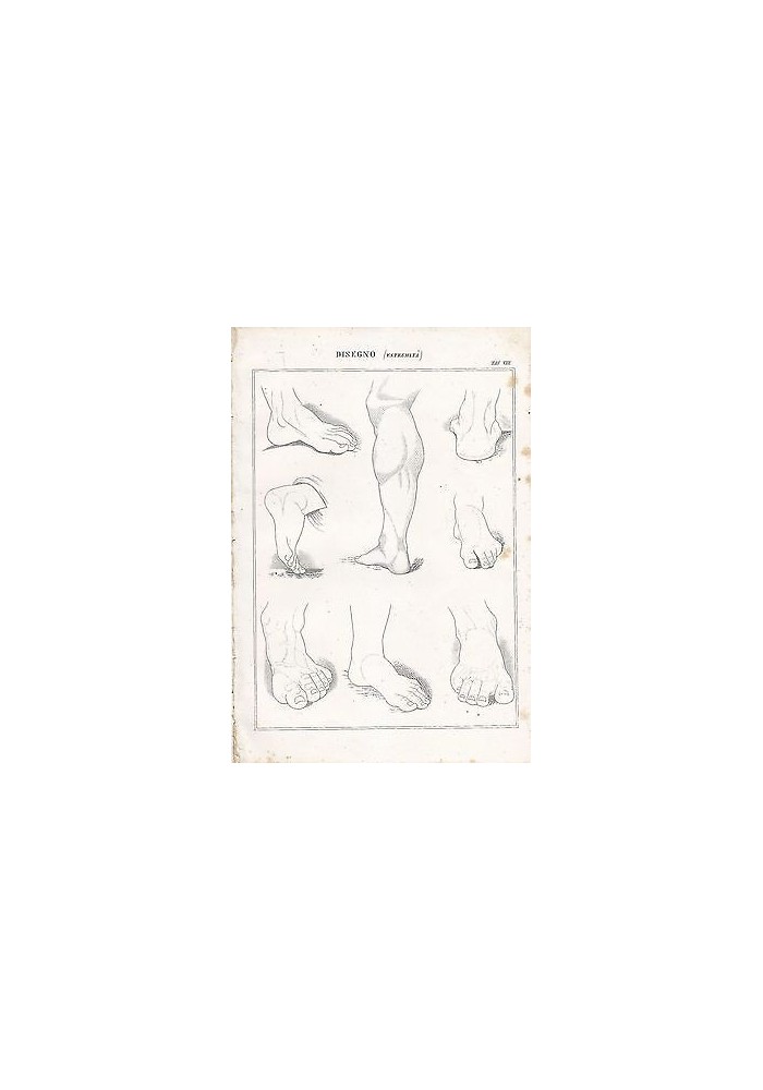 BELLE ARTI disegno estremità piedi polpacci INCISIONE STAMPA RAME 1866 ORIGINALE