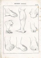 BELLE ARTI disegno estremità piedi polpacci INCISIONE STAMPA RAME 1866 ORIGINALE