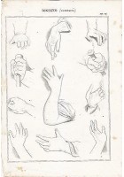 BELLE ARTI disegno estremità mani braccia INCISIONE STAMPA RAME 1866 ORIGINALE