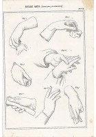 BELLE ARTI disegno estremità mani INCISIONE STAMPA RAME 1866 ORIGINALE