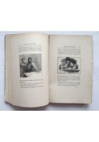 TARTARIN SUR LES ALPES di Alphonse Daudet 1918 Ernest Flammarion libro
