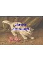BELLA CARTOLINA GATTO a colori anni '30 - gattino che gioca