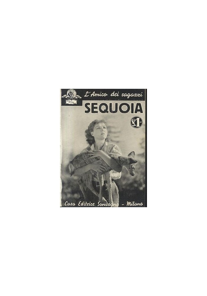 SEQUOIA con foto tratte dal film MGM 1936 Sonzogno racconto cinematografico
