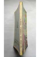 LA PICCOLA DORRIT di Charles Dickens 1966 Boschi Libro illustrato per ragazzi