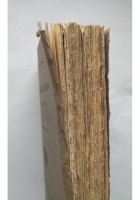 NOVELLIERI MINORI DEL CINQUECENTO di Parabosco e Erizzo 1912 Laterza Libro