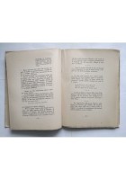 I MUSEI SCOLASTICI DEL PATRIO RISORGIMENTO di Andrea Perugini 1928 Alpes Libro