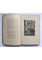 SOLO NEL MONDO di Luigi Dovati 1916 Antonio Vallardi Libro illustrato infanzia