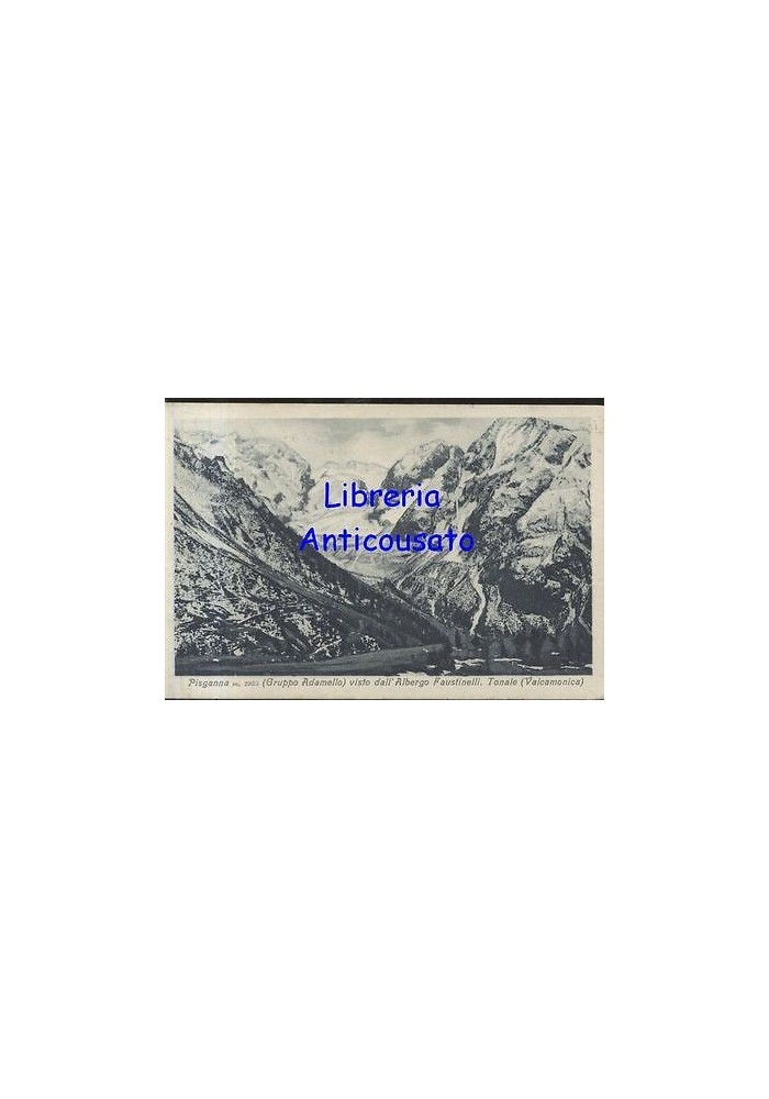 PISGANNA GRUPPO ADAMELLO VISTO DALL'ALBERGO FAUSTINELLI TONALE VALCAMONICA