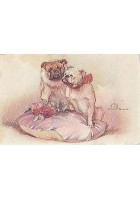 ALEARDO TERZI CANI BULL DOG SERIE 450-3 BELLA CARTOLINA A COLORI NON VIAGGIATA