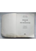 PRINCIPI DI NEUROSCIENZE Kandel Schwartz Jessell 1998 Ambrosiana Libro manuale