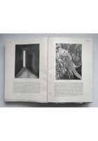 DANTE EUROPEO III poema sacro esperienza di Egidio Guidubaldi 1968 Olschki libro