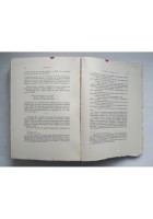 DANTE EUROPEO III poema sacro esperienza di Egidio Guidubaldi 1968 Olschki libro