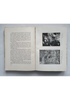 LA VITA DELLE PIANTE di Raoul Francé 1933 Genio Libro biologia
