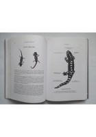 ANATOMIA ESOTERICA di Douglas Baker 2 volumi 2010 Crisalide libro esoteris