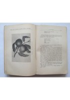 COME COLTIVARE GIARDINO ORTO FRUTTETO E CONSERVARNE PRODOTTI Pucci Hoepli Libro