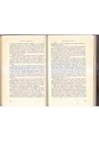 PARADOSSO E CONTROPARADOSSO di Salvini Palazzoni Boscolo Cecchini 1975 libro