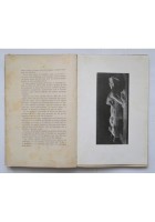 IL DELITTO PASSIONALE DELLO SCULTORE CIFARIELLO di Virgilio Corrado 1908 Libro