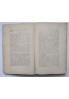 IL DELITTO PASSIONALE DELLO SCULTORE CIFARIELLO di Virgilio Corrado 1908 Libro