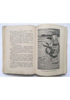 LE AVVENTURE DI PINOCCHIO Carlo Collodi 1933 Bemporad libro illustrato Mussino