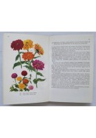 FIORI DI GIARDINO di Runo Lowenmo 1965 SAIE Libro illustrato