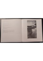 I DIPINTI AD OLIO DI LUIGI BERTELLI Volume I Montanari Bettini 1984 Grafis Libro