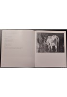 I DIPINTI AD OLIO DI LUIGI BERTELLI Volume I Montanari Bettini 1984 Grafis Libro