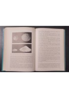 TECNOLOGIA DEI MATERIALI PER L’EDILIZIA di Ragsdale e Raynham 1976 Gorlich Libro