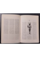 DIZIONARIO DELLA CIVILTÀ EGIZIA a cura di Posener Sauneron e Vojotte Libro 1993