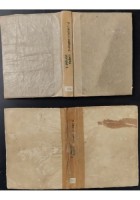 VIRGILII MARONIS OPERA 2 VOLUMI 1822 Masi Libro antico Eneide Bucoliche Virgilio