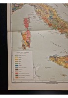 CARTA GEOLOGICA D'ITALIA 1900 Mappa Originale Antica geografica a colori cartina