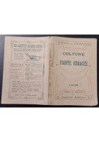 COLTURE DI PIANTE ERBACEE TRATTATO DELLE COLTIVAZIONI Cusmano 1908 Agricola Libr
