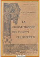 LA RICOSTITUZIONE DEI VIGNETI FILLOSSERATI di Guttuso Fasulo 1906 Reber Libro
