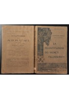 LA RICOSTITUZIONE DEI VIGNETI FILLOSSERATI di Guttuso Fasulo 1906 Reber Libro