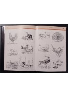 ILLUSTRAZIONE GRAFICA 1 cura di Ambrogio Colombo 1985 Ancora Libro centro Milano