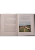 SIENA THE CITY OF THE VIRGIN di Titus Burckhardt 1960 Oxford University Libro