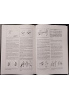 DER KARLSRUHER PHYSIKKURS Volume 1 Energia Quantità di moto Entropia 2002 Libro