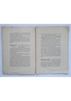 COLONIE ESTIVE FEDERICO DI DONATO 1925 per alunni scuole comunali Roma Libro